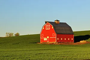 Farmland Prints: A red barn in the Palouse farmland in spring, Uniontown, Washington, USA