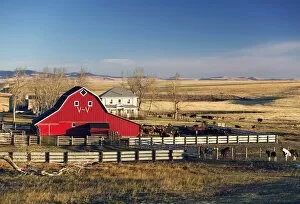 Red Barn, Pincher Creek, Alberta, Canada