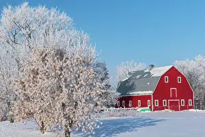 Industry Prints: Red barn with rime ice (frost)