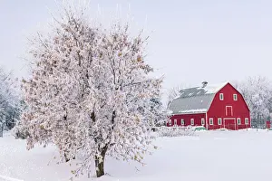 Industry Prints: Red barn with rime ice (frost)