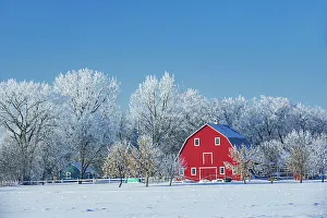 Industry Prints: Red barn with rime ice (frost) Grande Pointe, Manitoba, Canada