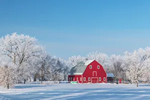 Industry Prints: Red barn with rime ice (frost) Grande Pointe, Manitoba, Canada