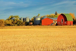 Farming Collection: Red barn at sunrise Rycroft, Alberta, Canada