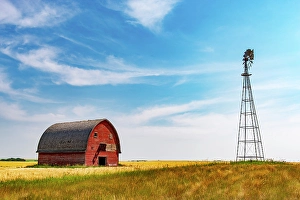 Barn Prints: Red barn and windmill Vulcan, Alberta, Canada