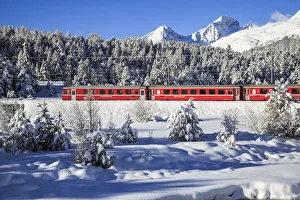 Highest Prints: The Red Bernina train in winter in the snowy landscape of Engadine. Switzerland