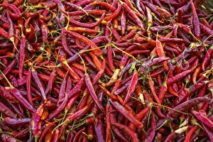 Abundance Gallery: Detail of red chili peppers, near Kalaw, Kalaw Township, Taunggyi District, Shan State