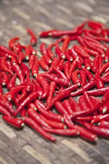 Images Dated 11th June 2014: Red chillies, Hoi An (UNESCO World Heritage Site), Quang Ham, Vietnam