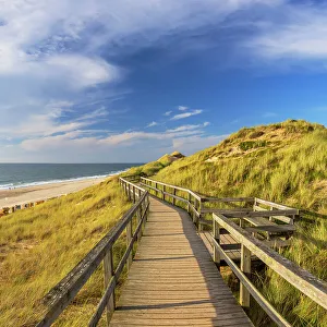 Deckchairs Prints: Red Cliffs beach (Rotes Kliff), Kampen, Sylt, Schleswig Holstein, Germany