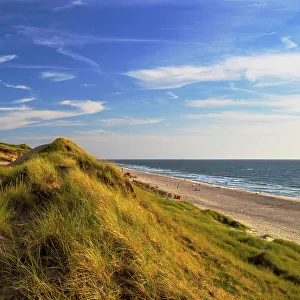 Deckchairs Prints: Red Cliffs beach (Rotes Kliff), Kampen, Sylt, Schleswig Holstein, Germany