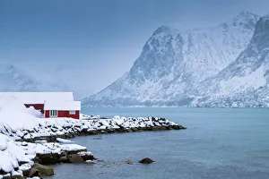 Fishing Hut Prints: Red Fishing Hut on Flakstadpollen, Lofoten Islands, Norway