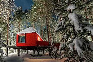 Images Dated 31st October 2022: Red hut in the winter forest covered with snow, accommodation for tourists of the Tree hotel