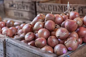 Coastal Town Prints: Red onions in rustic wooden boxes, Finistere, Brittany, France