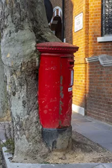 Red postbox and tree, South Kensington, London, England, UK