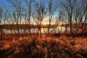 Red River Prints: Red River at sunrise, Winnipeg, Manitoba, Canada