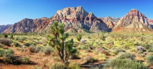 Mojave Prints: Red Rock Canyon National Conservation Area, Nevada, USA (MR)