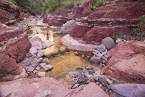 Images Dated 5th March 2008: Red Rock Canyon, Waterton Lakes National Park, Alberta, Canada
