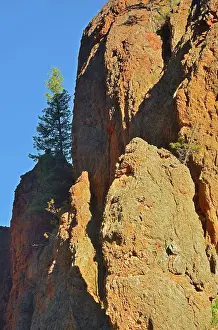 Majestic Rockies Prints: Red rock of Sinclair Canyon. Canadian Rocky Mountains