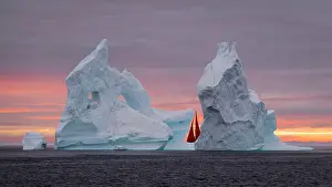 Polar Region Prints: Red sails and icebergs at sunset in Disko Bay, Greenland