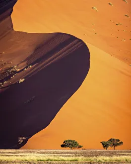 Red Sand Dune, Sossusvlei, Naukluft National Park, Namibia