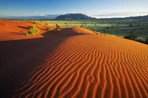 Namibia Collection: Red Sands of the NamibRand Nature Reserve, Namibia