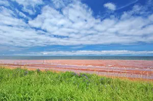 Low Tide Prints: Red sandstone beach at low tide