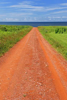 Gravel Road Prints: Red soil of gravel road Prince Edward Island, Canada