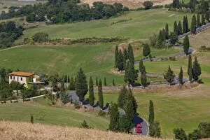 Images Dated 25th February 2011: Red sports cars & winding Road lined with Cypress Trees, Tuscany, Italy