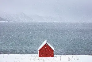 Timber Prints: Red timber rorbu (cabin) in falling snow