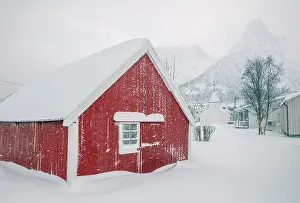 Timber Prints: Red timber rorbu (cabin) in falling snow, Mefjordvaer, Senja, Norway