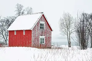 Timber Prints: Red timber rorbu (cabin) in the snow, Bergsbotn, Senja, Norway