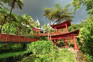 Images Dated 7th August 2023: Red torii gate amidst plants at Oriental Gardens, Monte Palace Tropical Garden, Funchal, Madeira