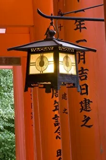 Images Dated 23rd November 2006: Red Torii gates, Fushimi Inari Taisha Shrine, Kyoto, Japan