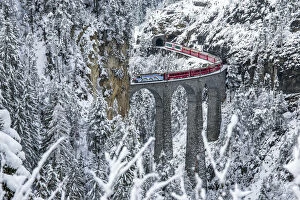 Vegetation Collection: Red train Travelling on the Landawasser Viadukt through the vegetation covered in snow