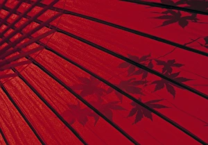 Rex Butcher Gallery: Red Umbrella, Japan