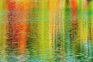 Central Canada Prints: Reflection of autumn colored trees of hradwood forest in St