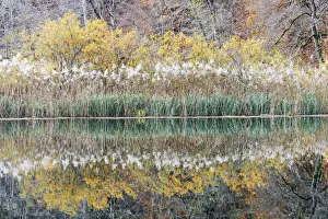 Croatia Prints: Reflection during a cloudy afternoon in Plitvice National Park, Croatia