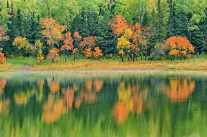 Reflection in Middle Lake at sunrise Kenora, Ontario, Canada