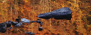 Reflection at sunrise of the forest in the Lago Santo, Appennines, Emilia Romagna, Italy