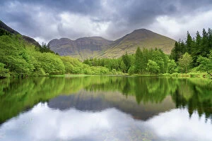 Images Dated 11th August 2022: Reflection of trees and mountains on Torren Lochan, Glencoe, Scottish Highlands, Scotland, UK