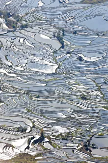 Reflections of water filled rice terraces, Yuanyang County, Honghe, Yunnan Province