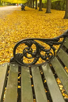 Images Dated 12th November 2021: Regents Park in Autumn, London, England, UK