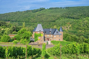 Wineries Prints: Reichsgraf von Kesselstatt winery Marienlay