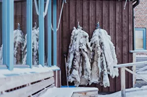 Leather Collection: reindeer hide leather on a hut in Arctic Circle, Abisko, Swedish Lapland, Sweden