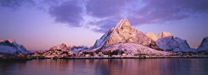 Sc Andinavian Gallery: Reine, Lofoten Islands