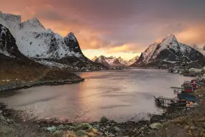 Reine Prints: Reine, Lofoten, Norway. The small fishing village of Reine, above the Arctic Circle