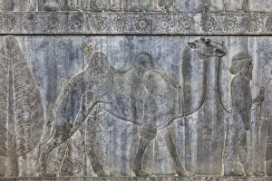 Relief on staircase, Apadana Palace, Persepolis, ceremonial capital of Achaemenid Empire