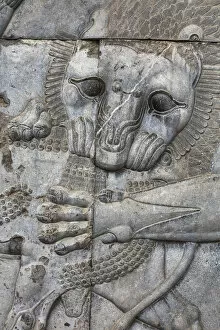 Archeological Gallery: Relief on staircase, Apadana Palace, Persepolis, ceremonial capital of Achaemenid Empire