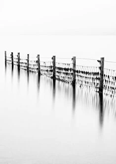 Black and White Gallery: Remains of the old fence on Derwentwater, Cumbria, UK