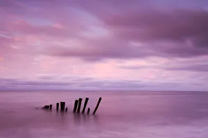 Remains of a wooden groyne at Bossington Beach, Exmoor National Park, Somerset, England Remains of a wooden groyne at Bossington Beach, Exmoor National Park, Somerset, England