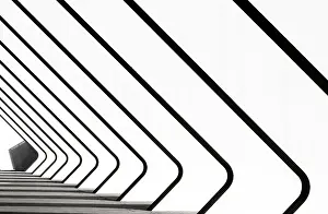 Valencia Prints: Repeated architectural features of the Science Museum